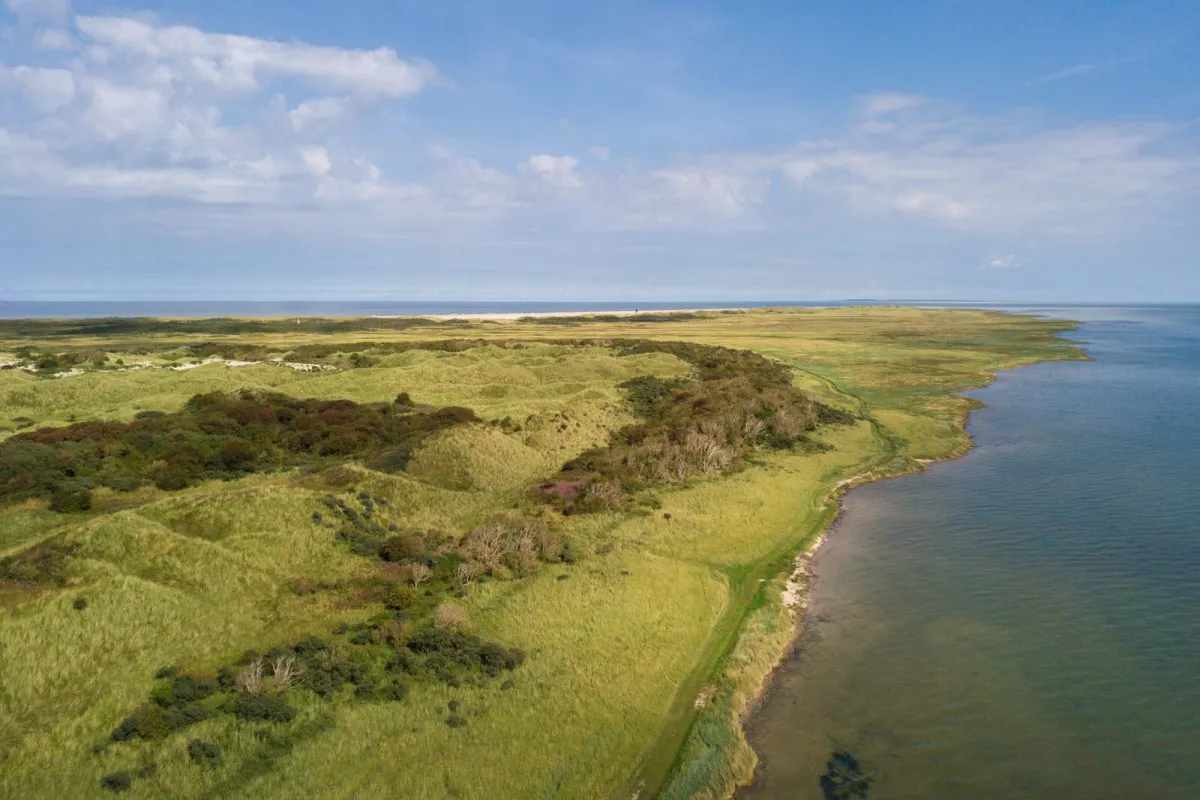 met-waddengoud-bekroond.jpg met-waddengoud-bekroond.jpg